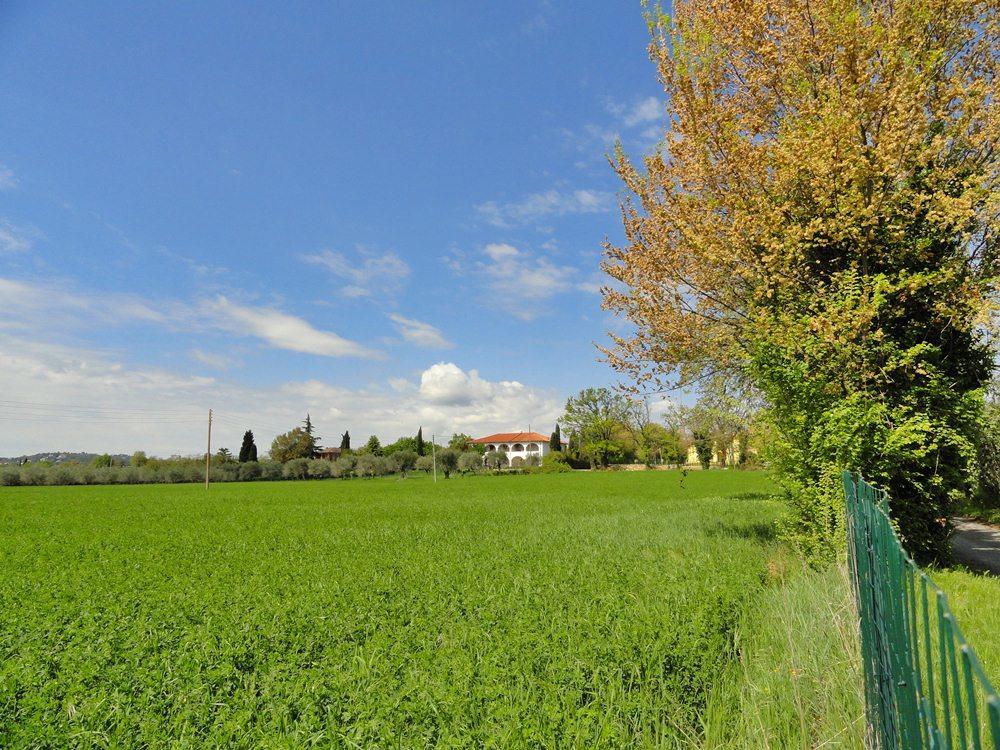 Moniga del Garda Cascina Aurora 아파트 외부 사진